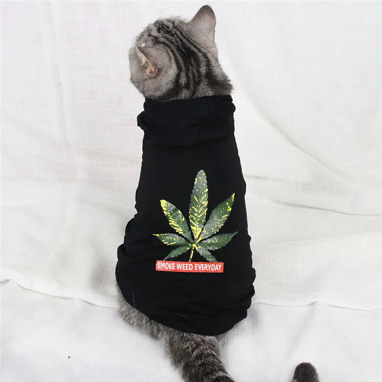 Traumdeutung Одежда для кошек Толстовка маленькая куртка для домашних животных котенок одежда костюм для собак Одежда для йоркширского терьера щенок kattenmand