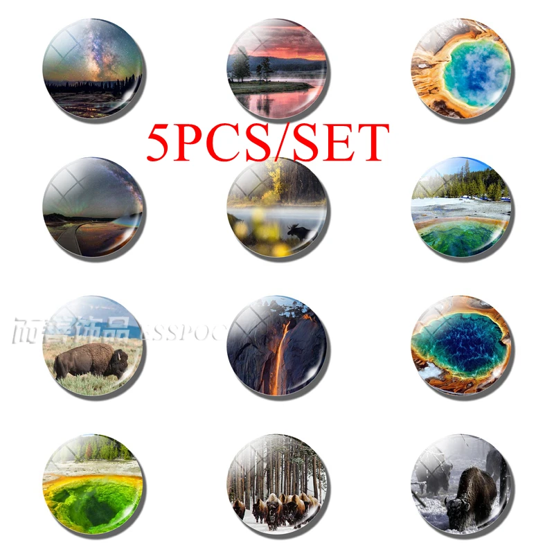 

5PCS/SET Fashion Yellowstone National Park 25MM Glass Cabochon Dome Animal Landscape Ornaments Making Accessories Gift