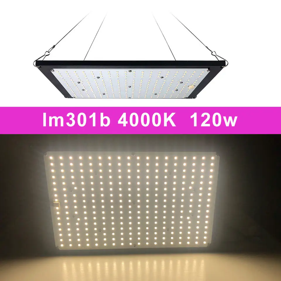 120w 4000K Московский сток Светодиодный светильник для выращивания lm301b 288 шт. чип полный спектр 240 Вт samsung 3000 K, 660nm красный Veg/Bloom state Meanwell драйвер - Испускаемый цвет: 120w 4000K