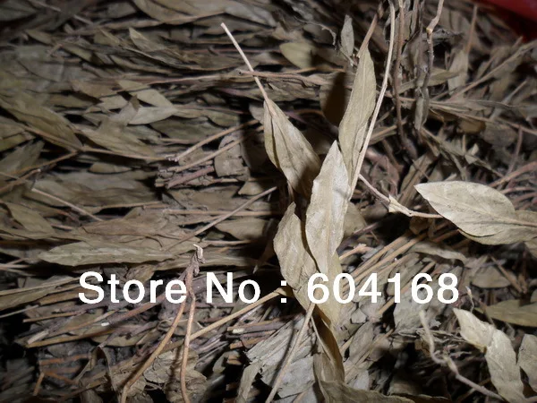 Лечение всех видов рака/уплотнений в Молочных железах Мастит рак Молочной железы