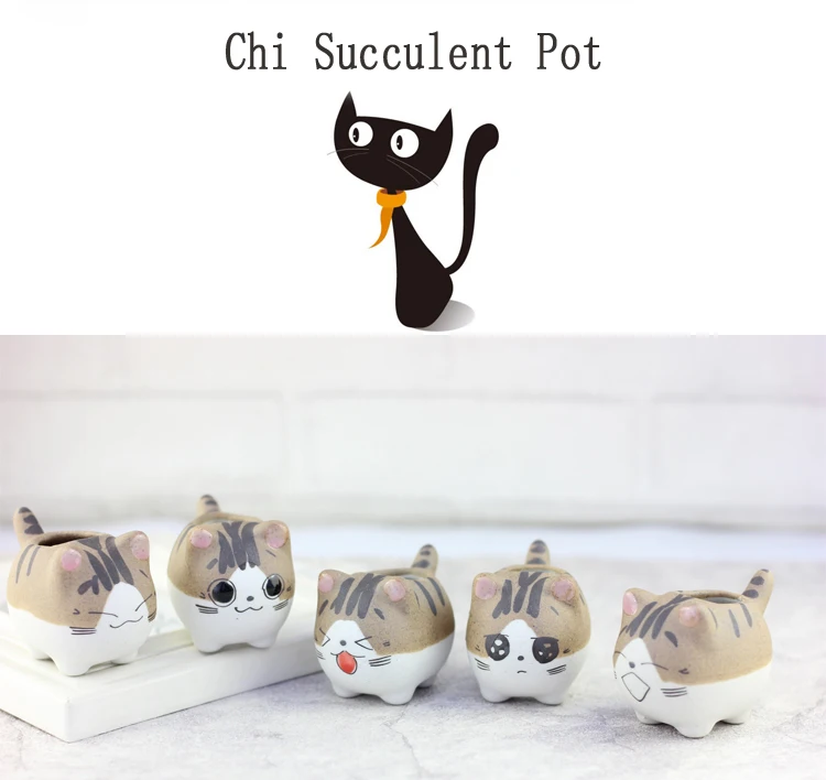 Micro Cute Mini Chis Chi Sweet Home Potted Succulents Small Flower Pots Ceramic Plants Bonsai Planter Home Garden Desktop Decor