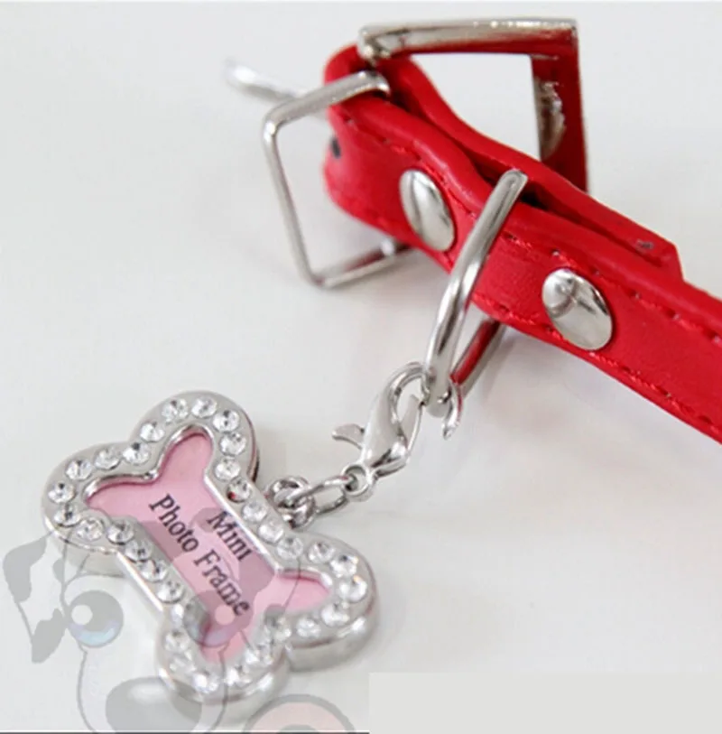 Новая карточка для удостоверения личности собаки кошки в форме кости питомца