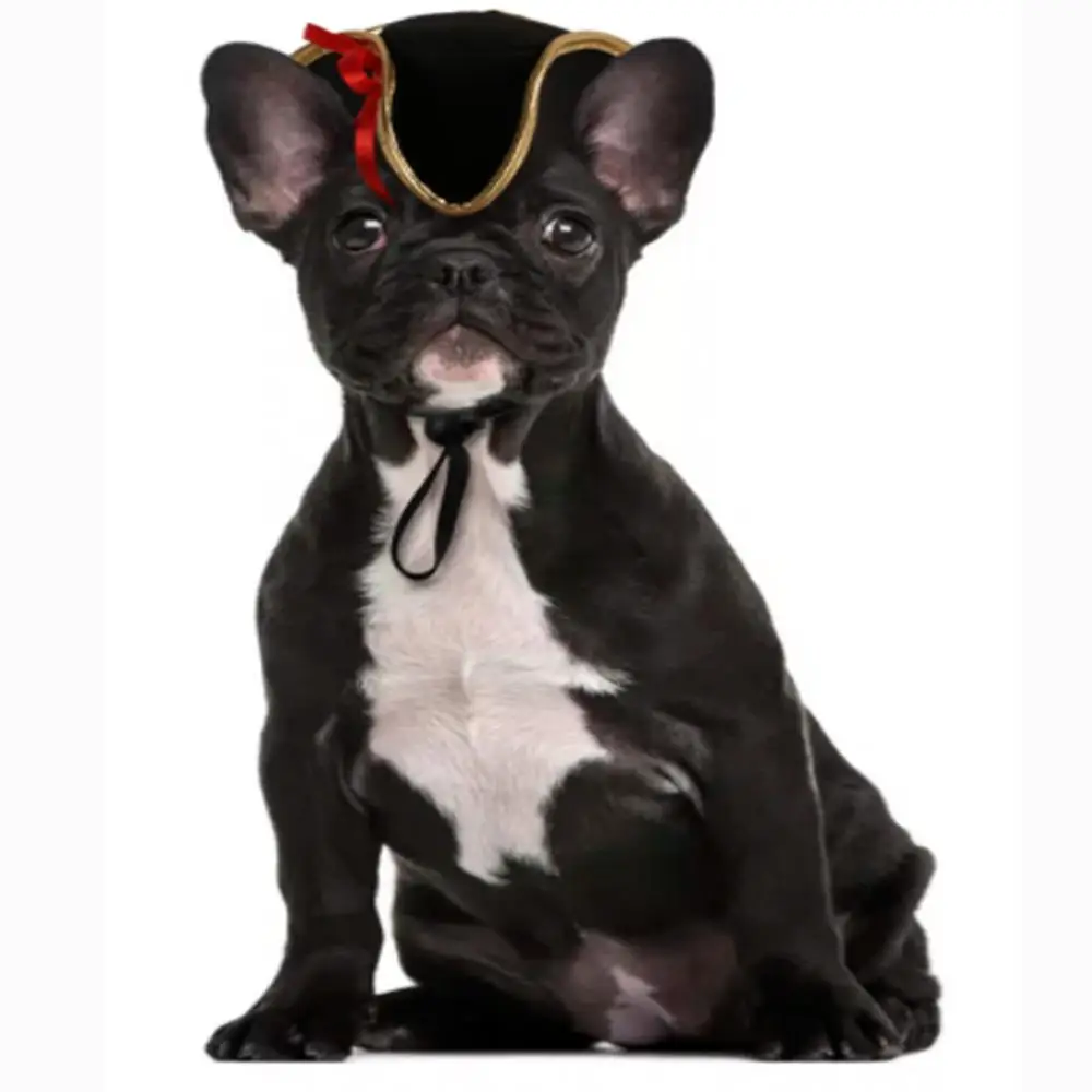 Dogs make funny hats Pet Photo artifact Cat poses for a prop head hat Halloween Pirates Sailor Captain cap | Дом и сад