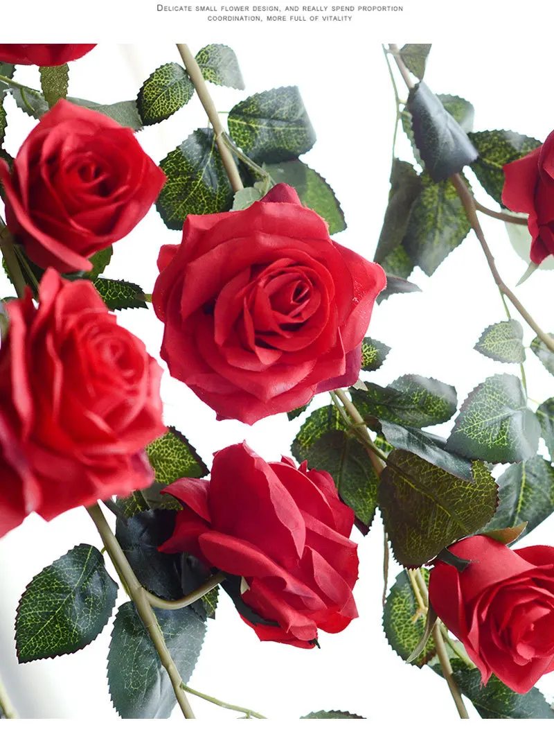 

Festive & Party Supplies