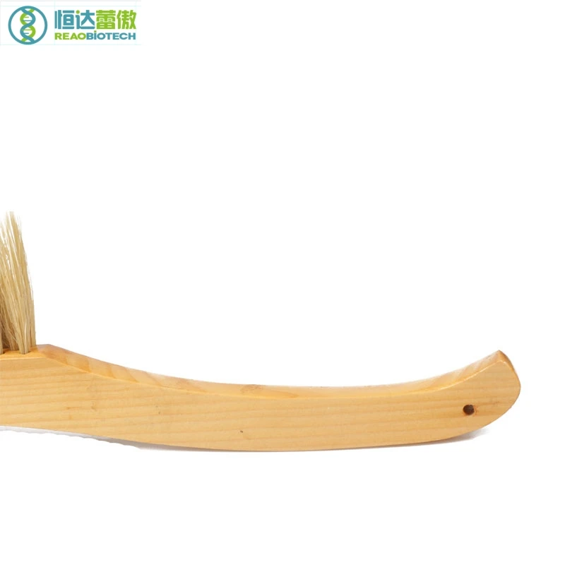

Beekeeping Tools Bee keeping Home Brush Bees Apicultura Equipment and Tools with Horse for Beekeeper Tail Hair HDBB-025