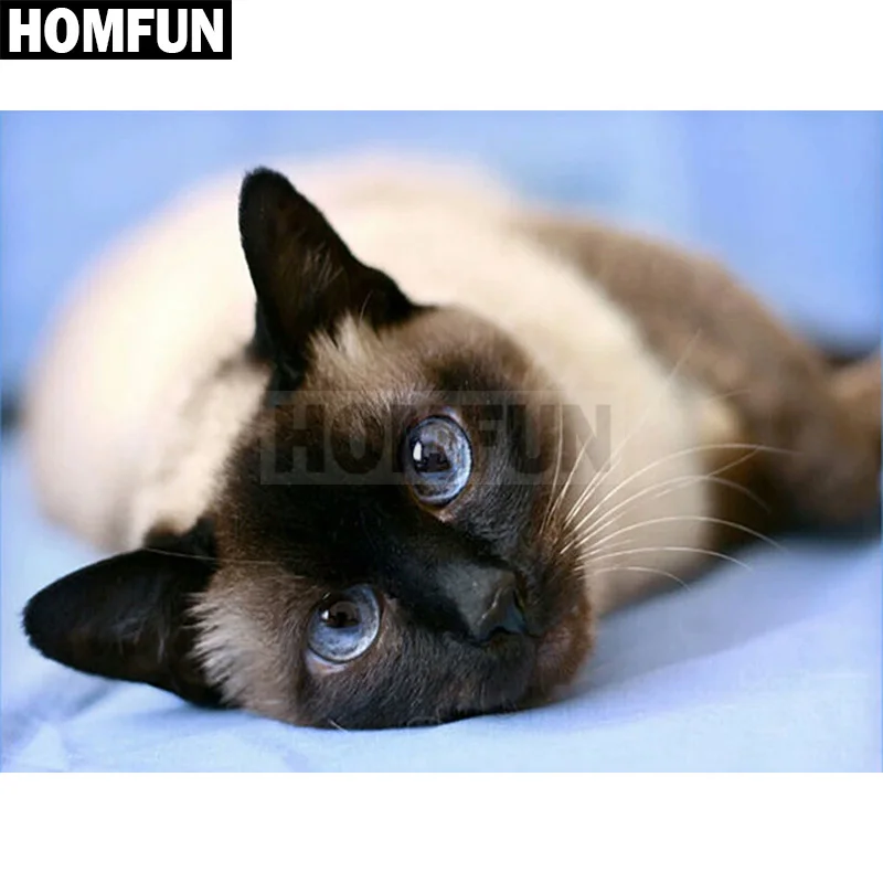 Картина для алмазной вышивки HOMFUN A00399 алмазная 5D Вышивка милый кот полное