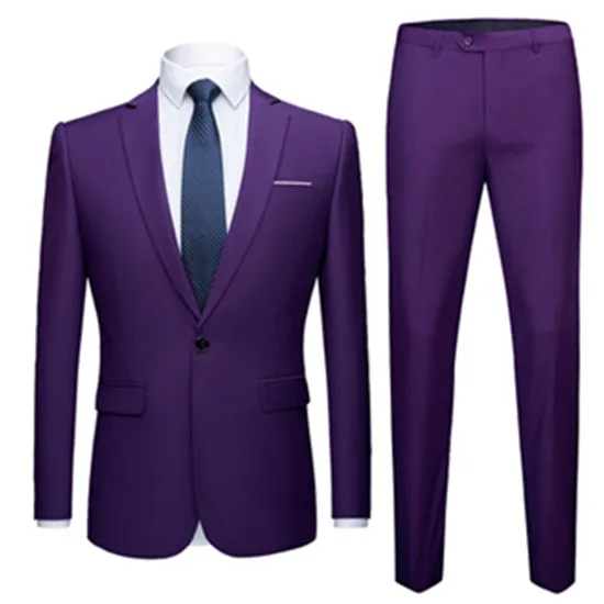 2 pieces set purple Модные мужские деловые повседневные бутиковые комплекты из 3 предметов/мужской однотонный Блейзер Куртка пальто жилет брюки жилет - Цвет: 2 pieces set purple