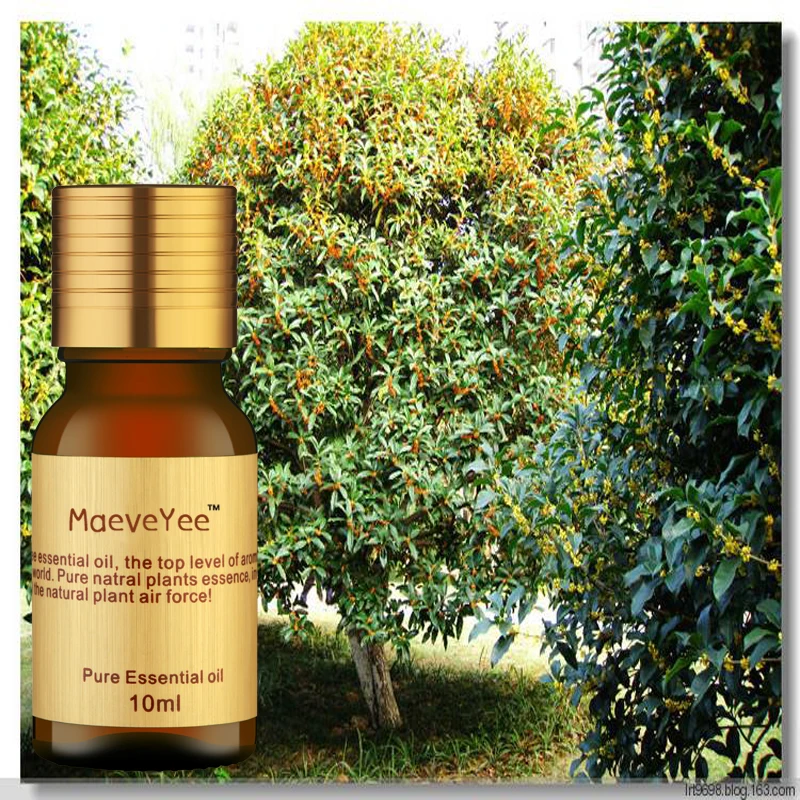 Эфирное масло Osmanthus (османтус fragrans) Новинка 100% чистое натуральное живое