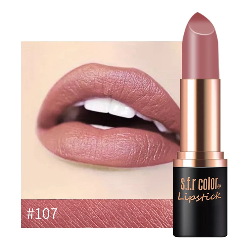 107 New Matte Lipstick 12color Easy To Wear Waterproof Long-lasting Matte Lip Gloss Lipstick Lady Sexy Lipstick Lip Balm TSLM2 - Color: 107
