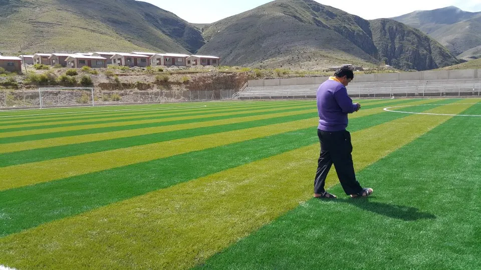 Искусственная трава для футбола|grama|grama artificial |