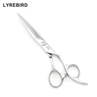 Профессиональные ножницы для волос, 6 дюймов, серебряные ножницы с широким лезвием F313, Япония, 440C Lyrebird TOP 10 шт.лот, класс Новинка