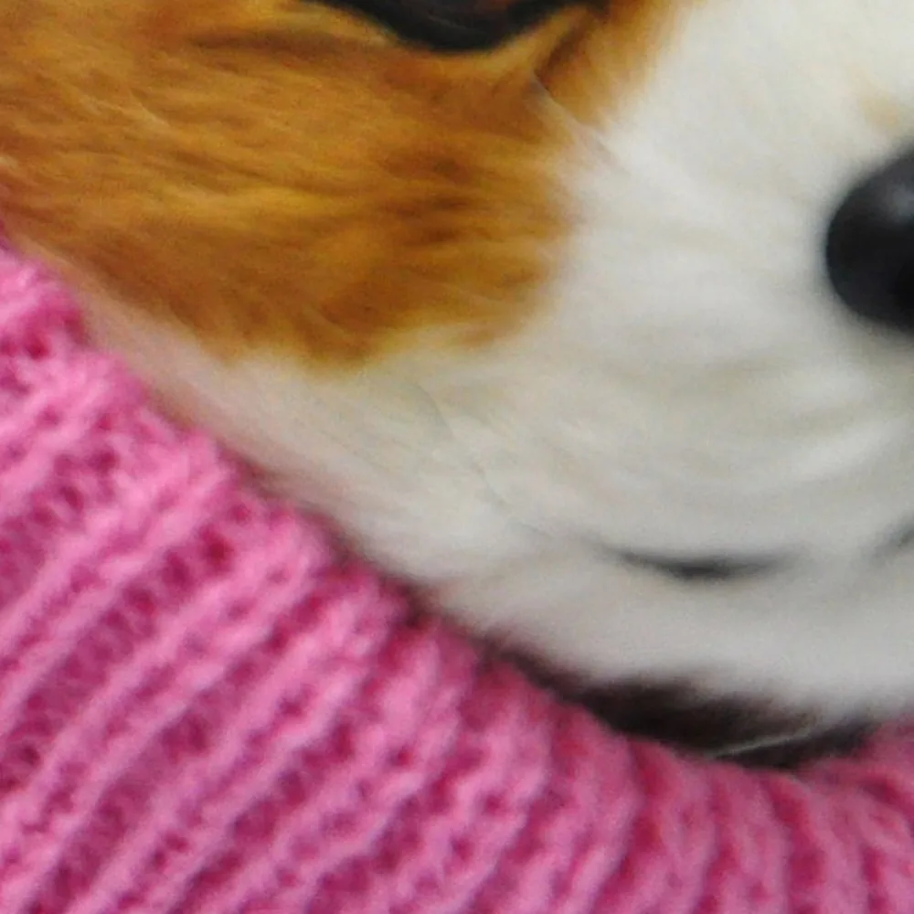 Lightweight Pet Warm Sweater Universal Dog Clothes Fashion Soft Dog Clothing High Collar Comfortable Pet Coat