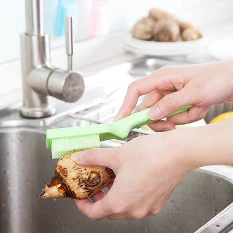 Кухня инструмент фруктов Растительные Тематические товары про рептилий и