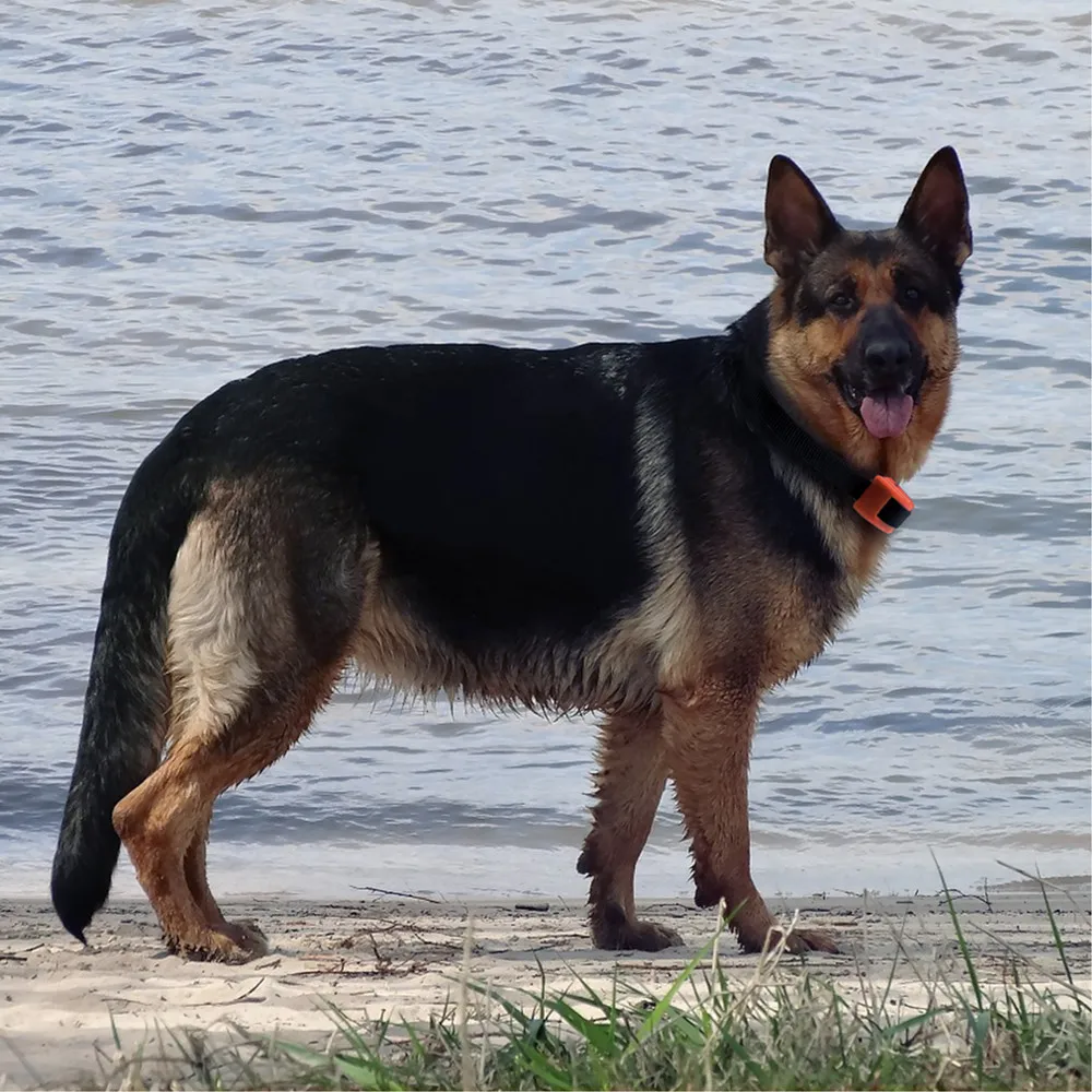 Высококачественный предупреждающий звуковой сигнал и электронный ударный