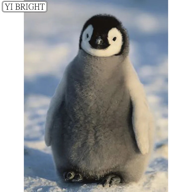 

5D DIY Full Square Diamond Painting Cross Stitch Cute penguin 3D Diamond Embroidery Rhinestone Mosaic Home Decoration HYY