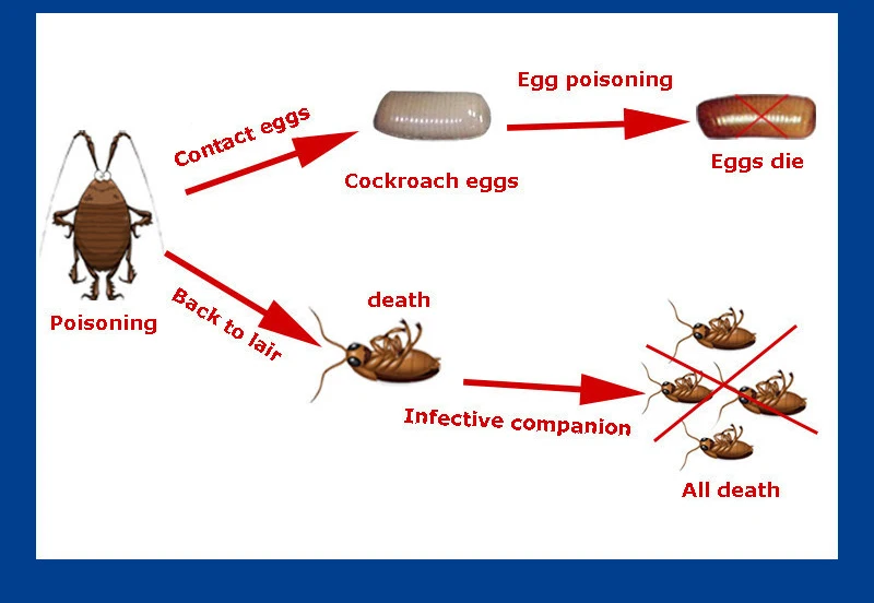 5 шт./лот средство для привлечения тараканов 10 г гелевая ловушка наживки