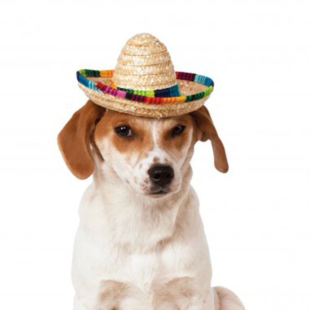 Decoration Gift Dog Cap Toy Mexican Style Straw Hats Home Party Accessory Mini Eco-friendly Desktop Birthday Colorful Edges |
