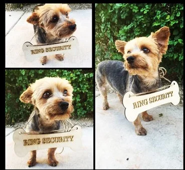 Реквизит для фотосъемки домашних питомцев Свадебный знак питомца деревенская