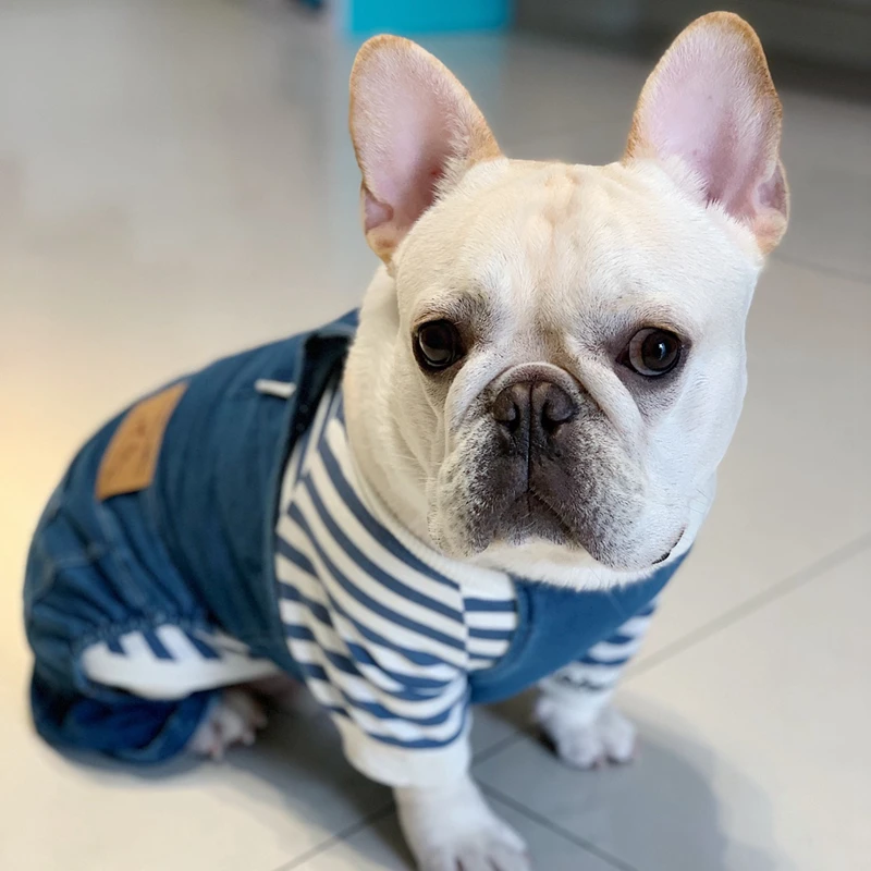 [MPK Dog denim Комбинезоны] джинсовые комбинезоны для собак, джинсы для собак подходят для французских бульдогов, джинсы для собак Мопсов