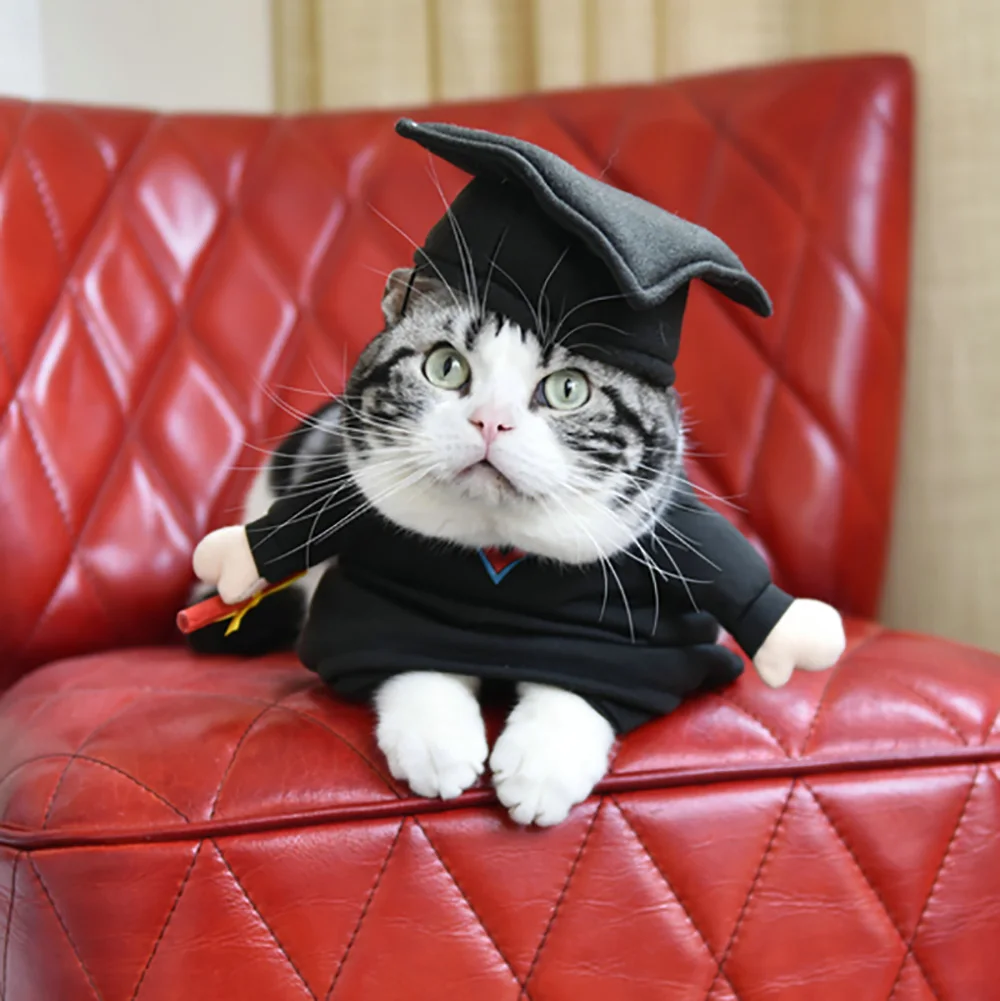 Забавный костюм PhD Cat для собак одежда на Хэллоуин Рождество косплея кошки| |