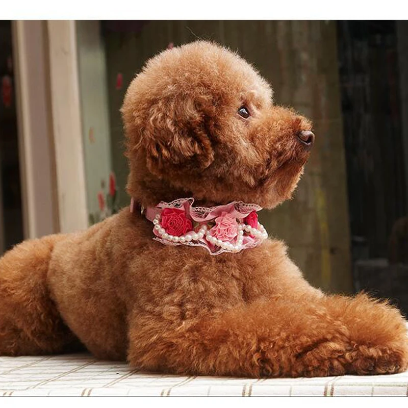 Регулируемые бусы ожерелье для домашних животных собаки щенок и кошка пряжка