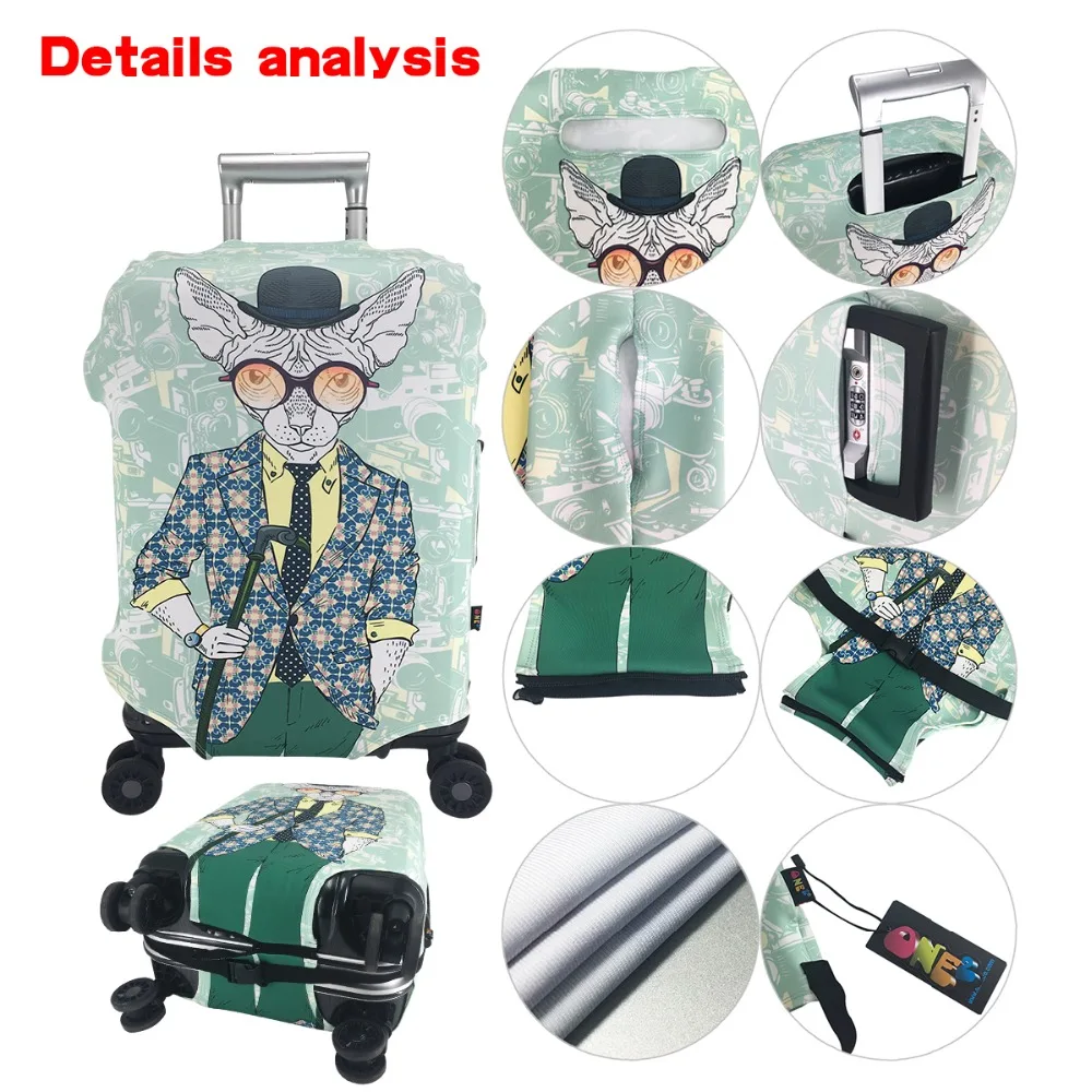 Genius персонаж мультфильма путешествия Чемодан печать с Водолей о двенадцать