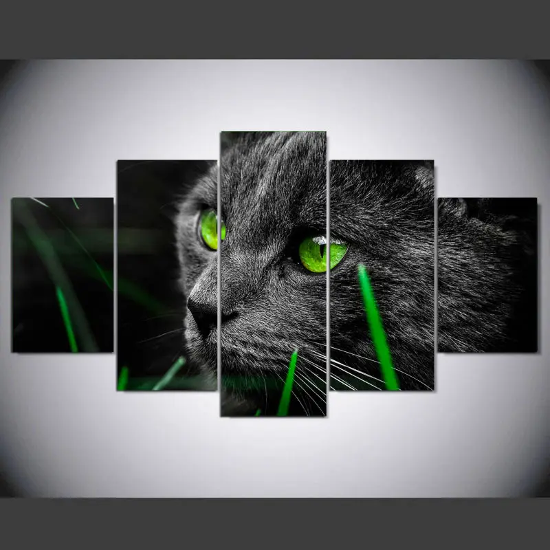 DAFENJINGMO ARTS новинка 5 шт. холст с изображением черной кошки зеленых глаз для