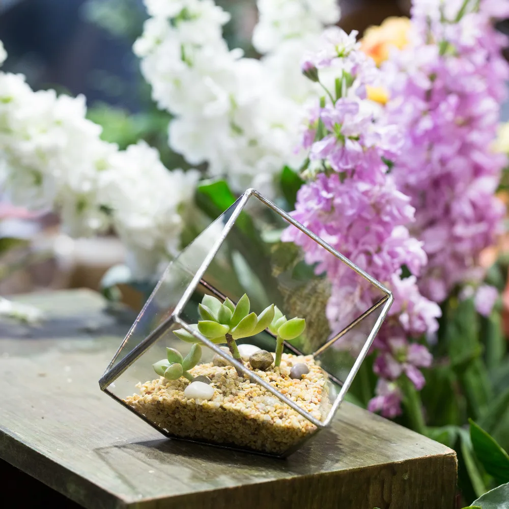 

3.93inches Squares Inclined Cube Bonsai Pot Glass Geometric Terrarium Box Desktop Succulent Pot Planter Flower Pot Decoration