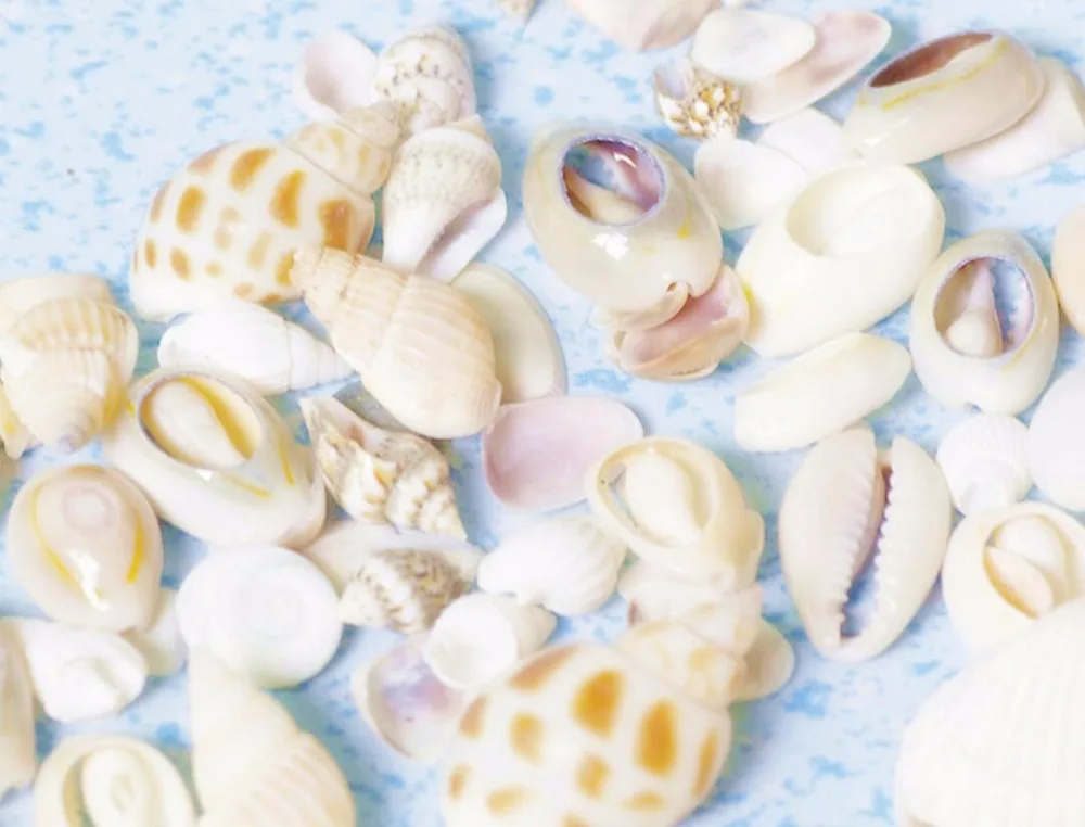 

150g Natural Shell Beads For UV Epoxy Filler Resin Pendant Necklace Jewelry Making Craft Nail art Accessories