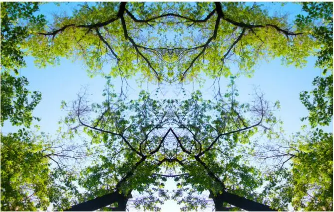 3d обои на заказ настенные нетканые для комнаты зеленые деревья и голубое небо