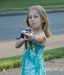 

Plush toys / Flying Slingshot Monkey / flying monkey / chicken / cow / duck / frog