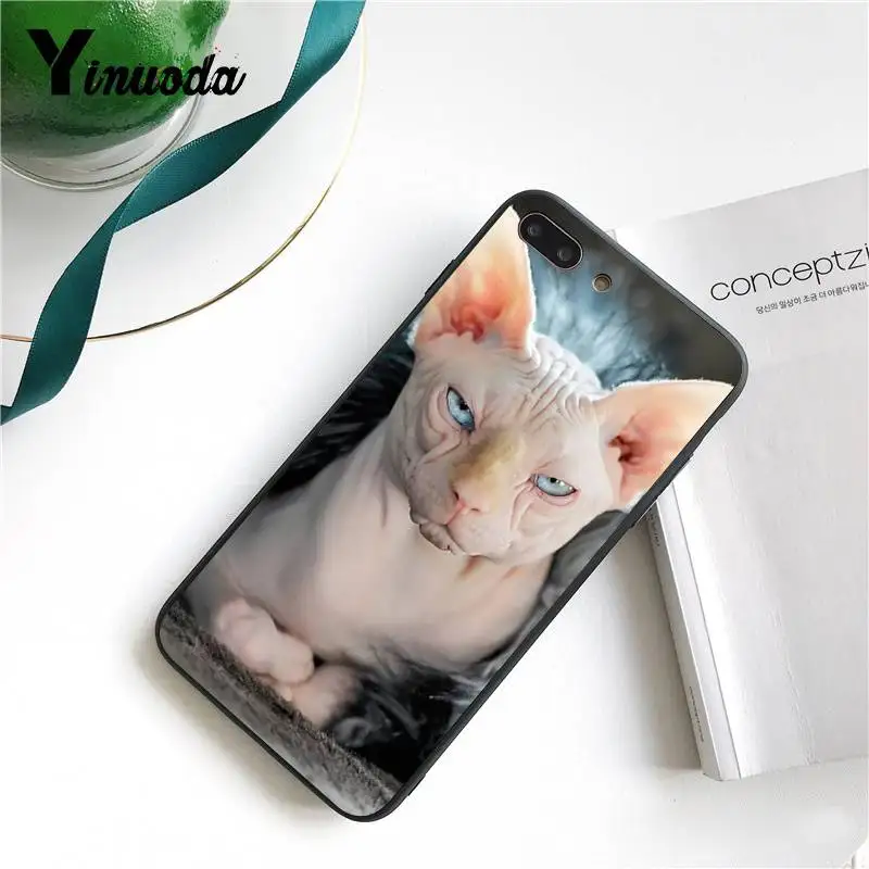 Чехол для iphone 13 7 6 X чехол с татуировкой сфинкса кошка привлекательные аксессуары