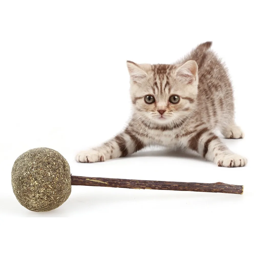 Pet мягкие игрушки для кошек кошачья кошка Жевательные Зубы чистящие лакомства леденец натуральная кошачья мята леденец форма Забавный шар с Silvervine