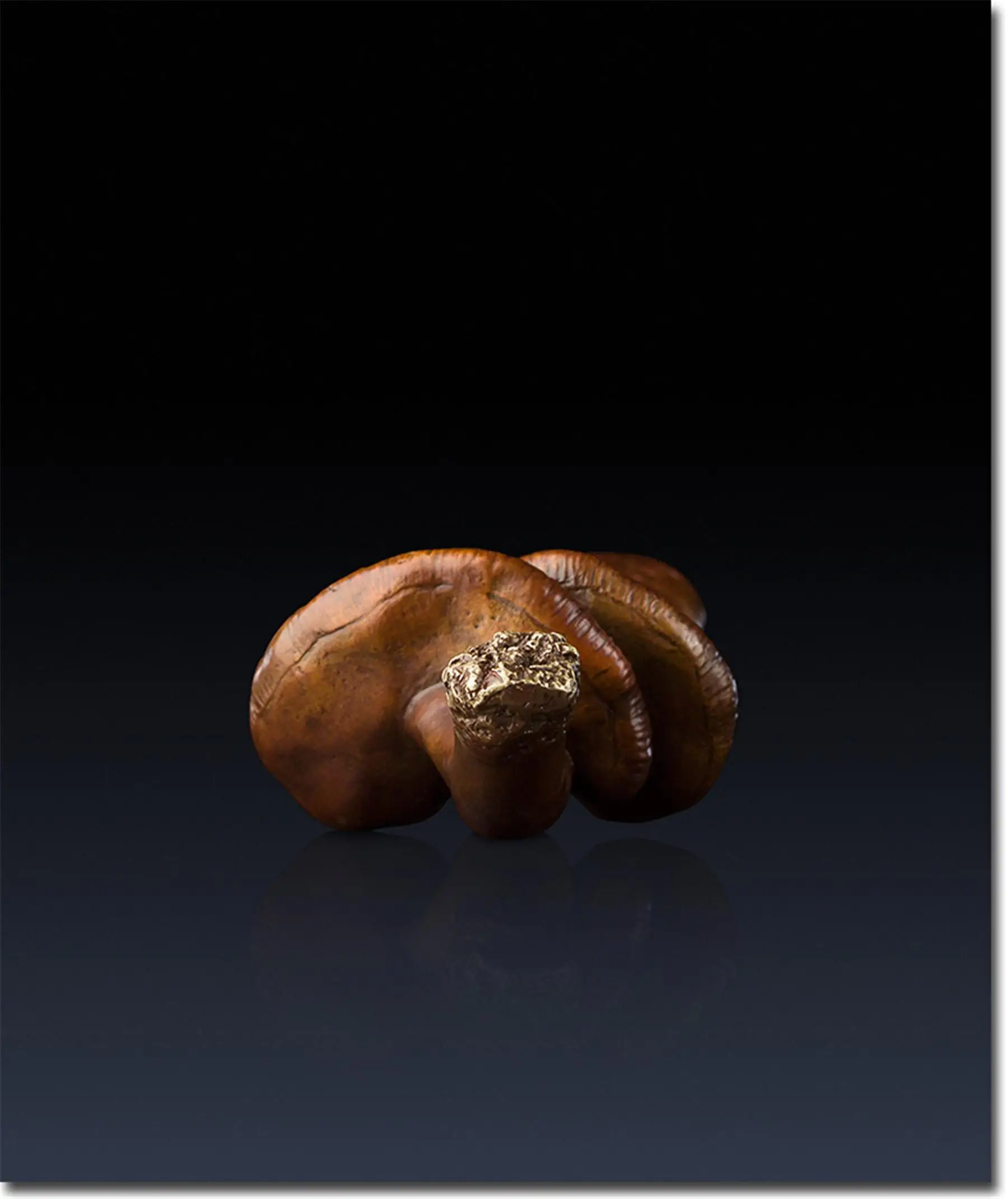 Классическая Ganoderma Lucidum оригинальность ручка декоративно-прикладного искусства