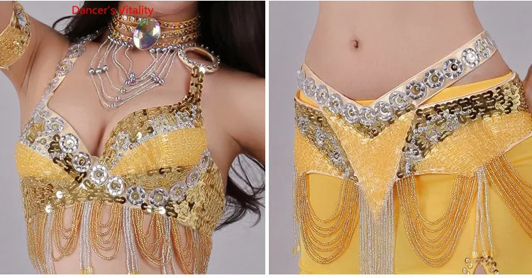 Handmade Beaded Embroidery Bra Skirt Belly Dance Costume For Women Oriental Dress For Dance set custom made Free Shipping