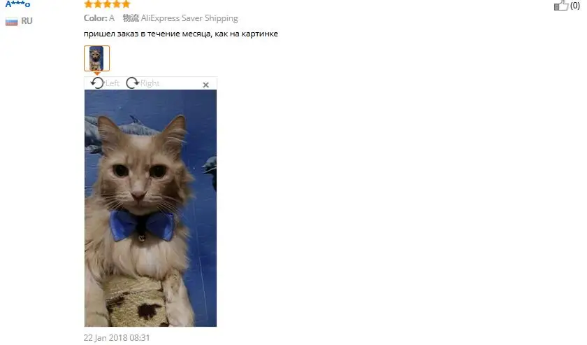 Прекрасный Pet Регулируемый, для собак, кошек галстук-бабочка для домашних питомцев с колокольчиком щенок котенок галстук воротник Прямая поставка 0621