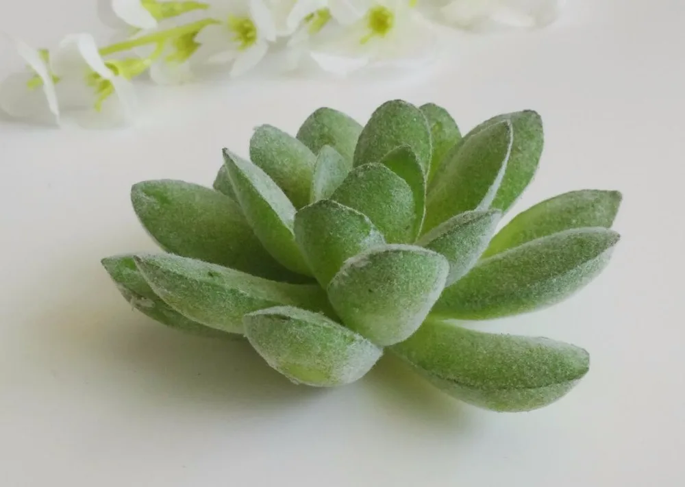 

12pcs Resin Succulent Plants Name Number Menu Table Place Card Holder Clip Wedding Baby Shower Party Reception Favor