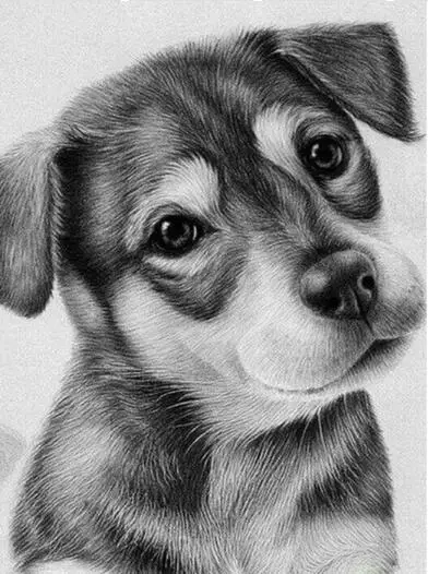 

Алмазная 3D вышивка с животными, картина «сделай сам» с изображением собаки, круглая стразы, вышивка крестиком, мозаичная стена