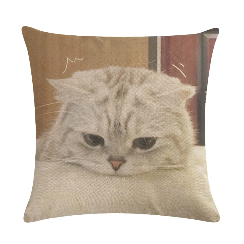 45*45cm Most Popular Cartoon Kitty Animal Pattern Cushion Cover Suitable for Home Decoration Comfortable Square Sofa Pillowcase |