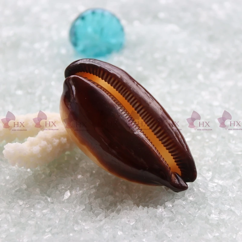 2 шт./партия) винный бочонок Cowrie натуральный корпус и раковины украшения дома аквариум Ландшафтные украшения с дизайном «ракушка»