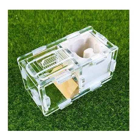 white bear flat Мини штукатурка Муравьиное гнездо 2 комнаты муравья королева дом форма медведя из мультфильма клетка для насекомых антивов размер 90x50x50 мм дети подарок на день рождения игрушки - Цвет: white bear flat
