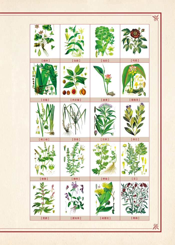 Компендиум материи медика: 417 страниц китайская книга с изображением товары для