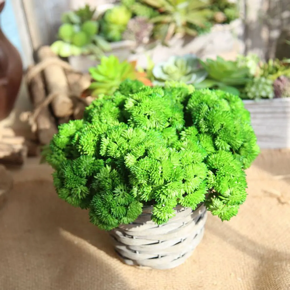 Plantas artificiales para decoracion Искусственные цветы сделай сам искусственный детский