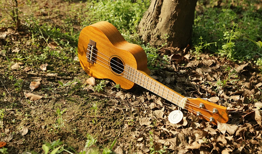 Концертные укулеле 23 дюймов сопрано Ukelele 21 дюймов Акустическая палисандр гитара Гавайи Гитара из красного дерева полные комплекты для начинающих детей