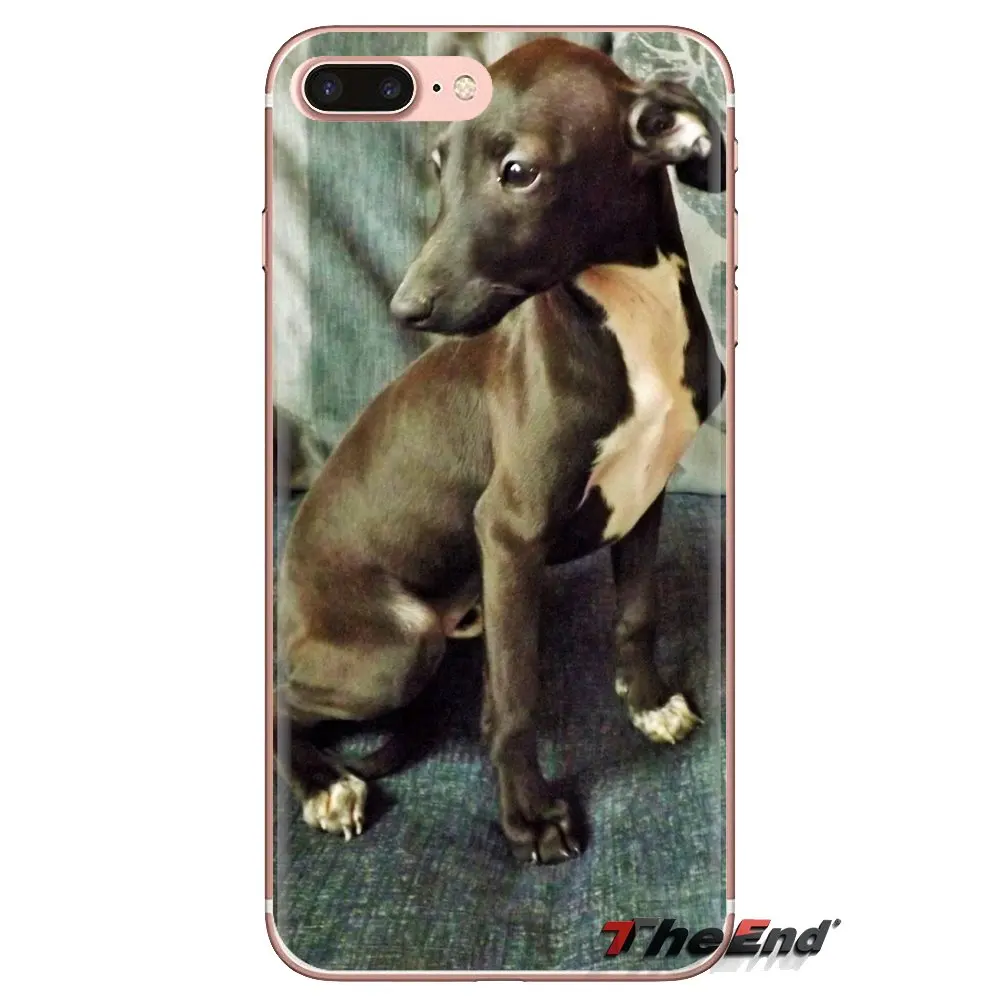 galgo greyhound puppy Dog Pets For Xiaomi Redmi 4A S2 Note 3 3S 4 4X 5 Plus 6 7 6A Pro Pocophone F1 TPU Transparent Cases Covers |