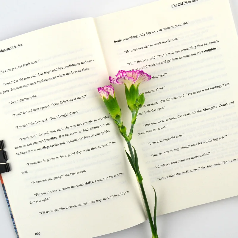 Старики и море английская версия оригинальной книги-автор Hai Mingwei чтение