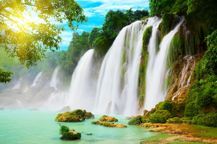 

Custom Size Photo 3D Forest waterfall mural living room TV tea house bathroom backdrop sofa bedroom coffee house wallpaper mural