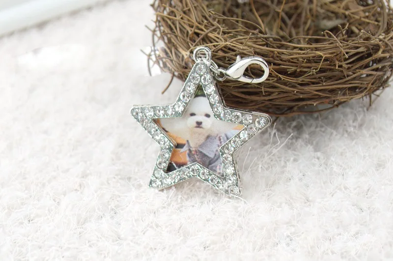 1 шт. Мини фоторамка из нержавеющей стали для питомца ID бирка собака котенок щенок