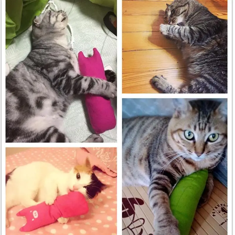 

Funny Interactive Crazy Cat Toy Pet Kitten Chewing Toy Teeth Grinding Catnip Toys Claws Thumb Bite Cat mint For Cats Cat Toys