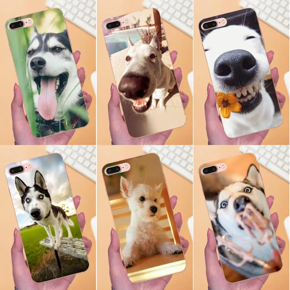Забавный миниатюрный Хаски с животными для Huawei P7 Honor 4C 5A 5C 5X 6 6C 6A 6X 7 7X 8 9 V8 V10 Y3II Y5II Y6II